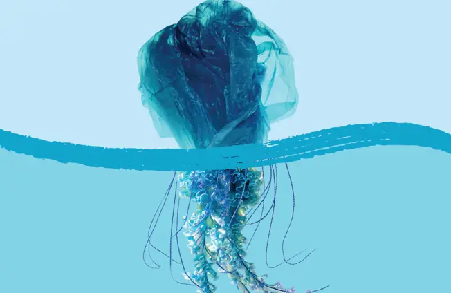 Image of Litter-free ideas for your Plastic Free July 