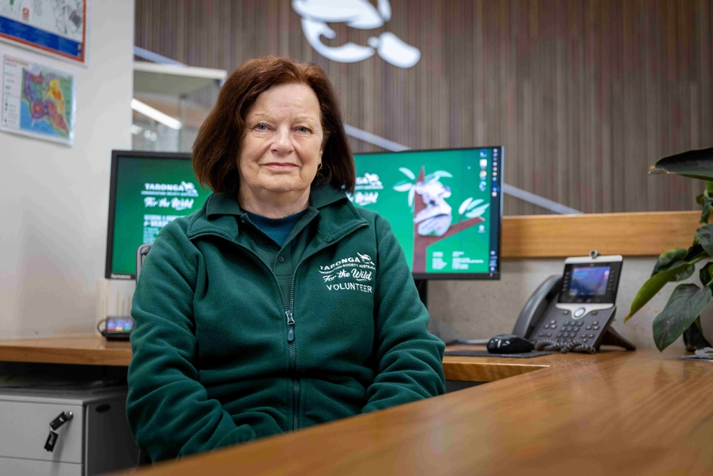 Education Volunteer sitting at desk
