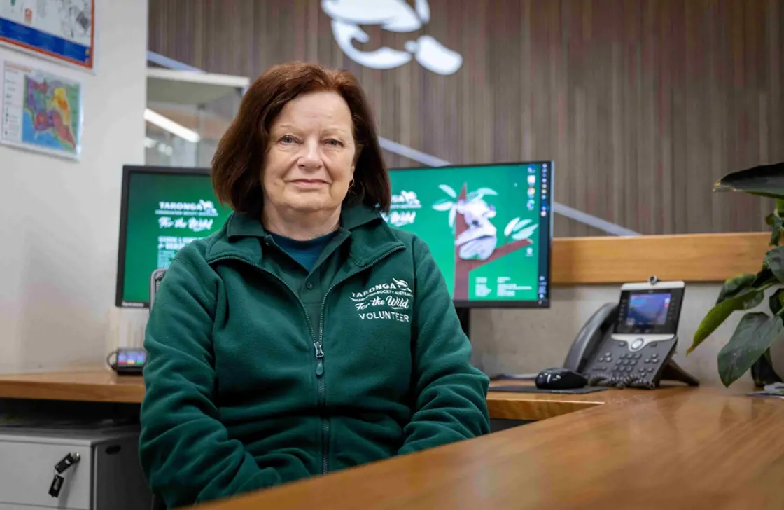 Education Volunteer sitting at desk