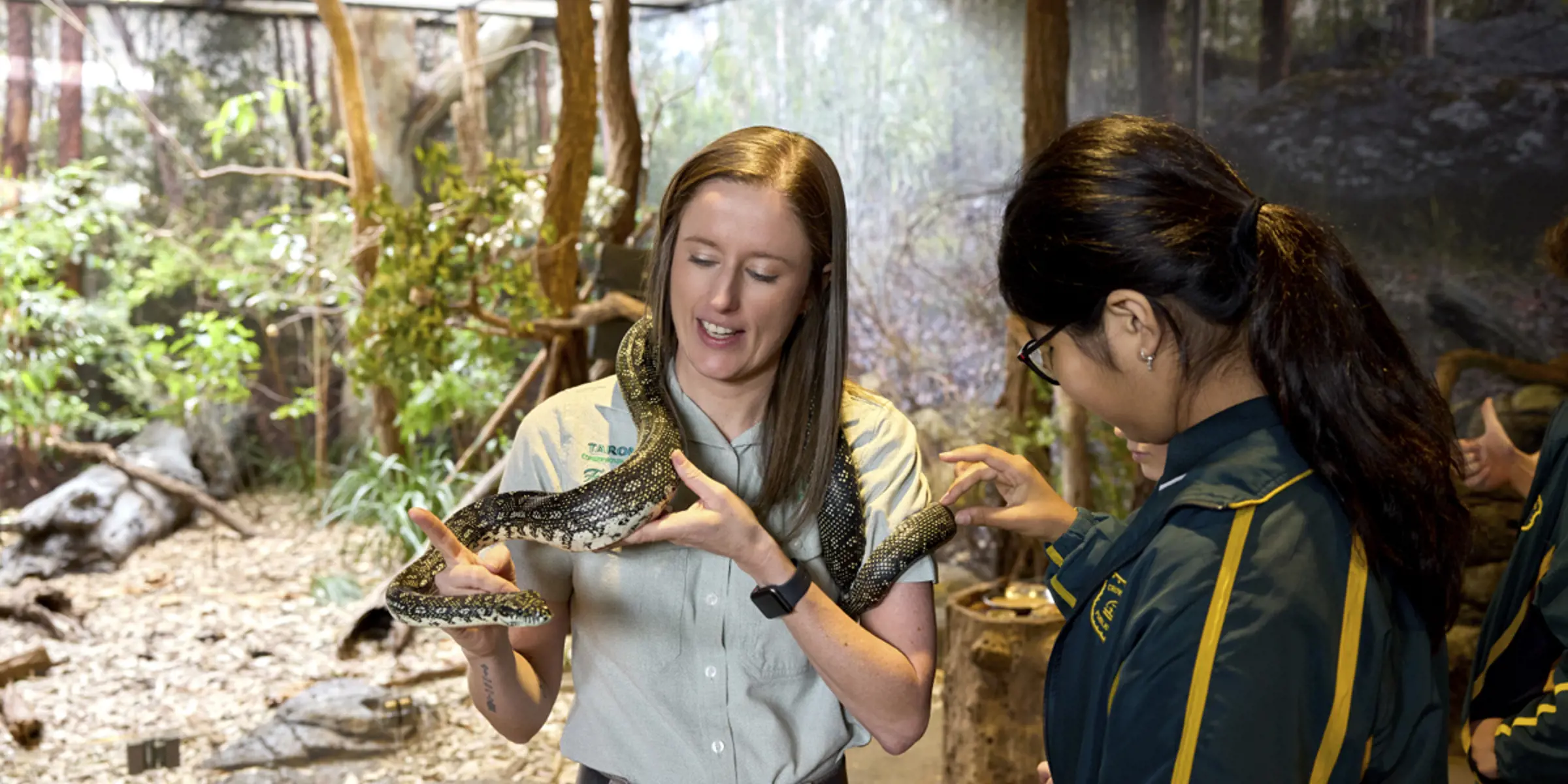 Zoo Education Manager with a python