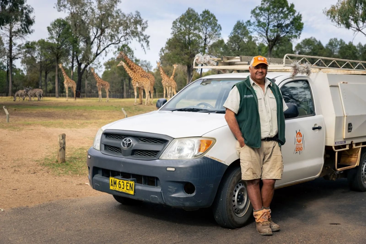 Keeper leaning on van with giraffes in background