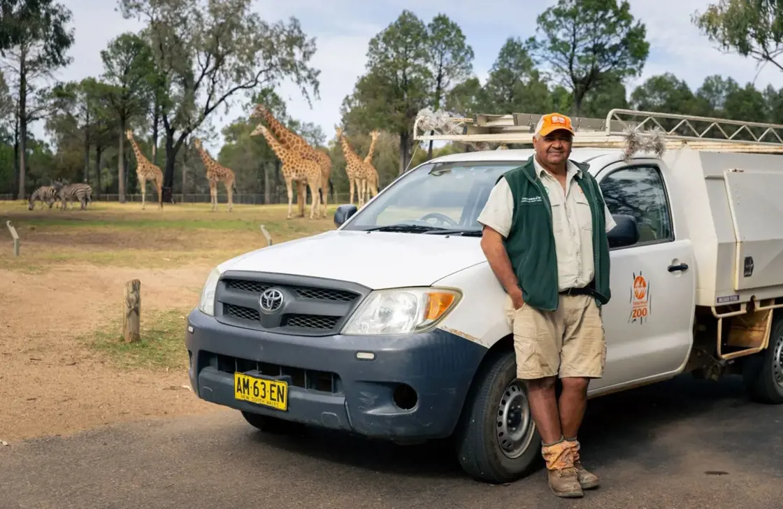 Keeper leaning on van with giraffes in background