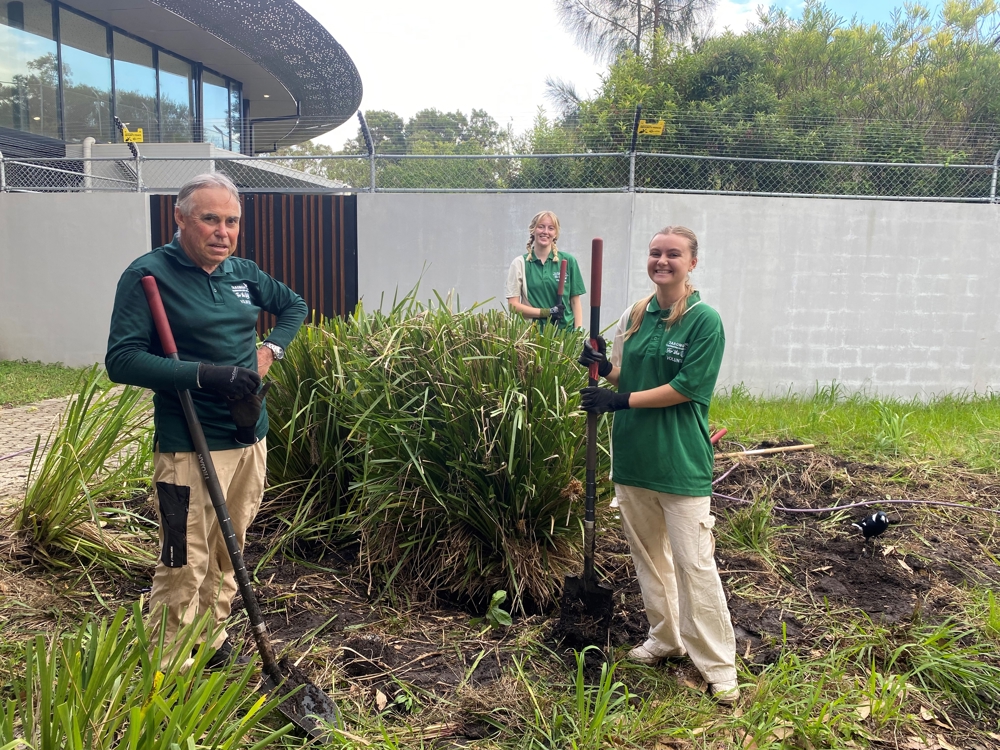 Volunteers - bushcare & horticultural