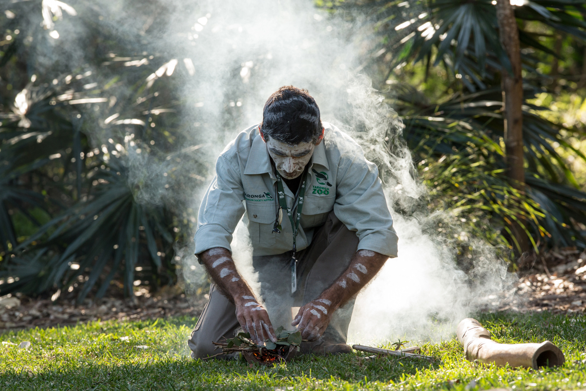 Indigenous Taronga representative with smoke ceremony
