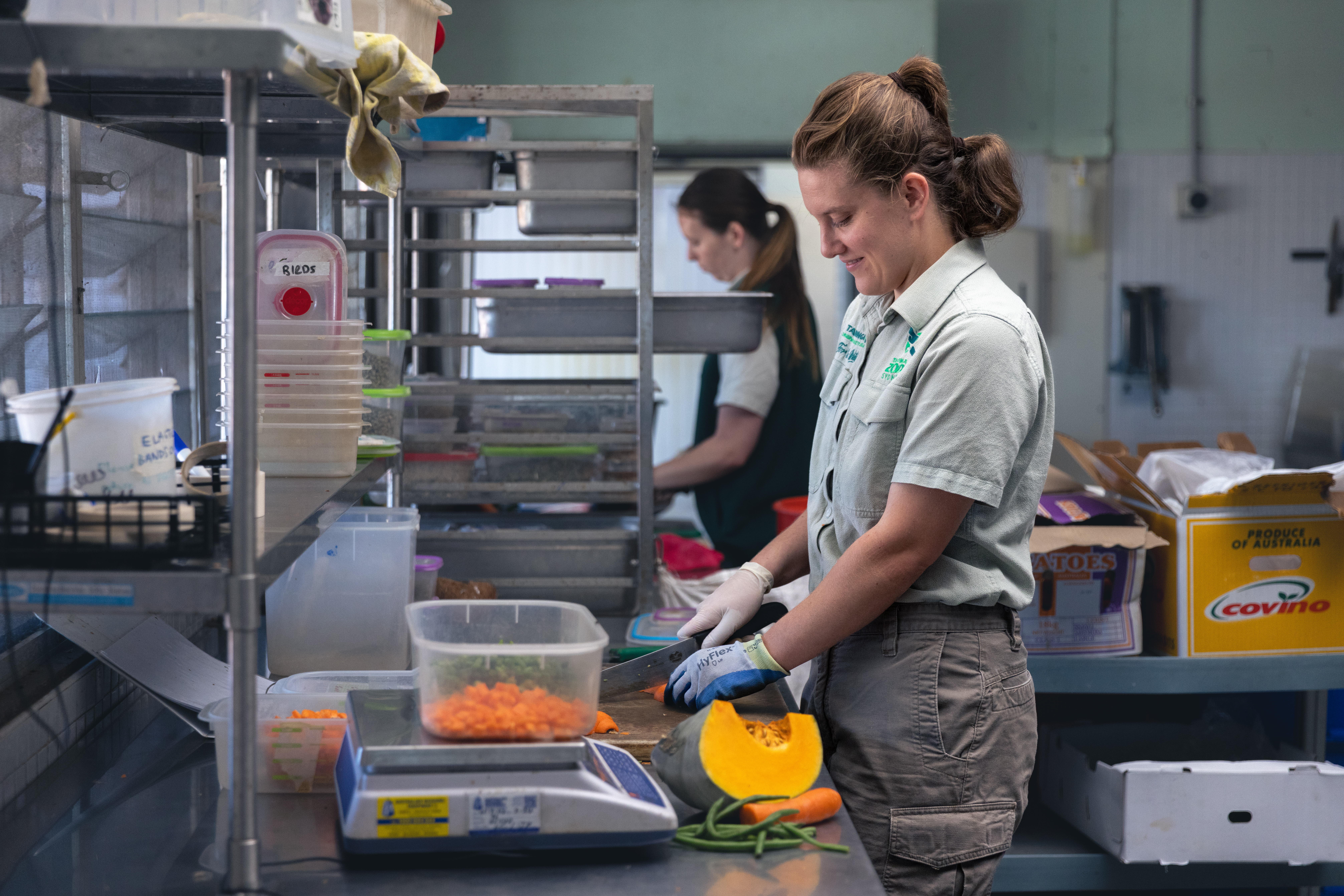Taronga keeper and volunteer in the kitchen working on preparing food