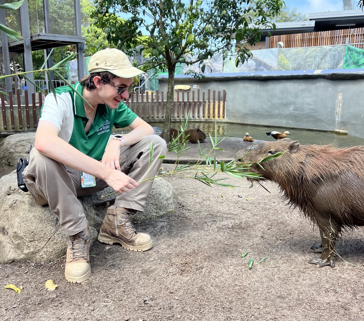Volunteer zookeeper with capybara 