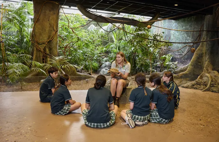 Children in a immersive classroom listening to a teacher with greenery in background.
