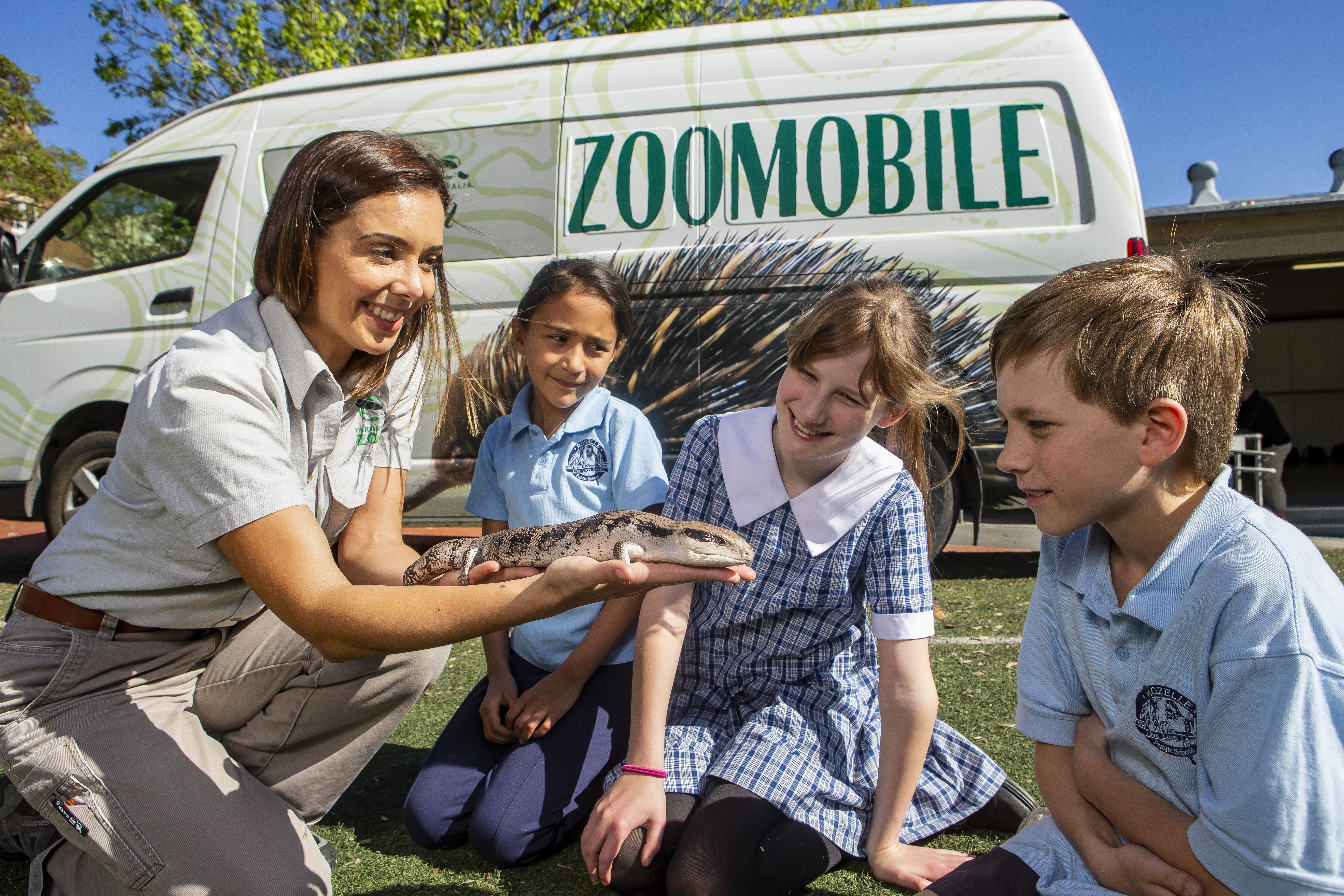 Group of children looking at lizard presented by Taronga Zoomobile Educator in front of Zoomobile Van