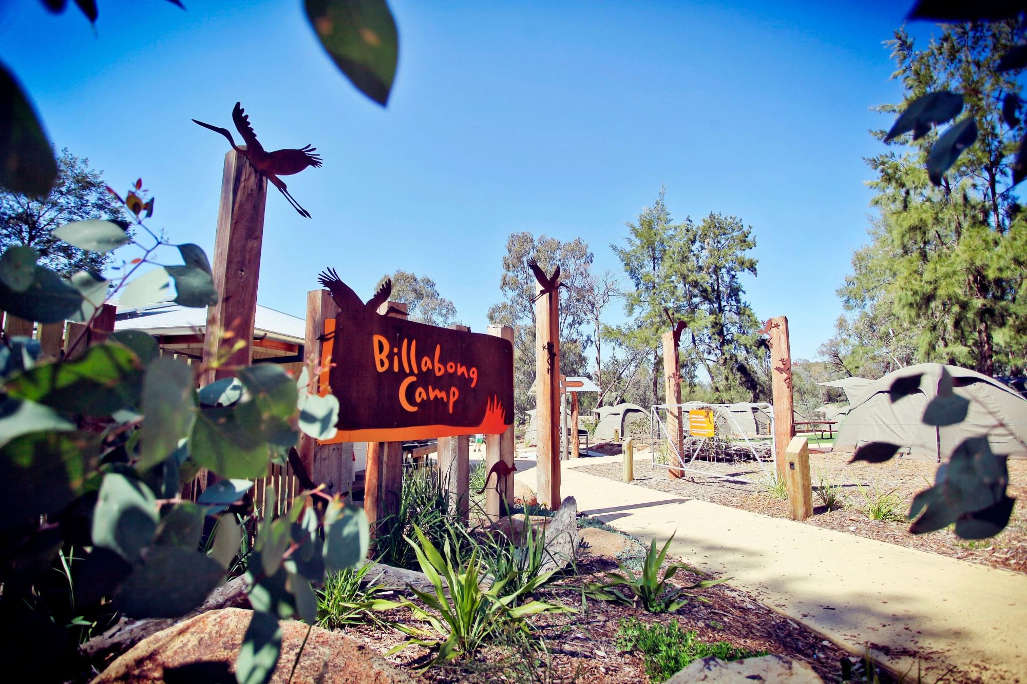 Entrance sign of Billabong Campsite at Taronga Western Plains Zoo