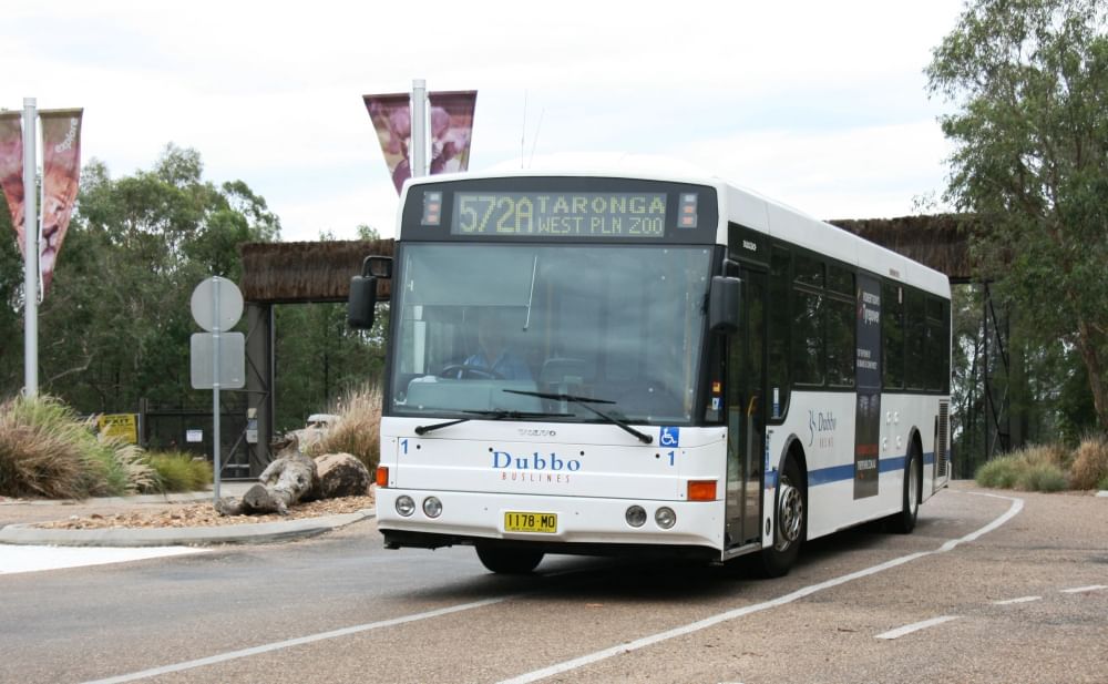 Bus driving on Zoo road at Taronga Western Plains Zoo