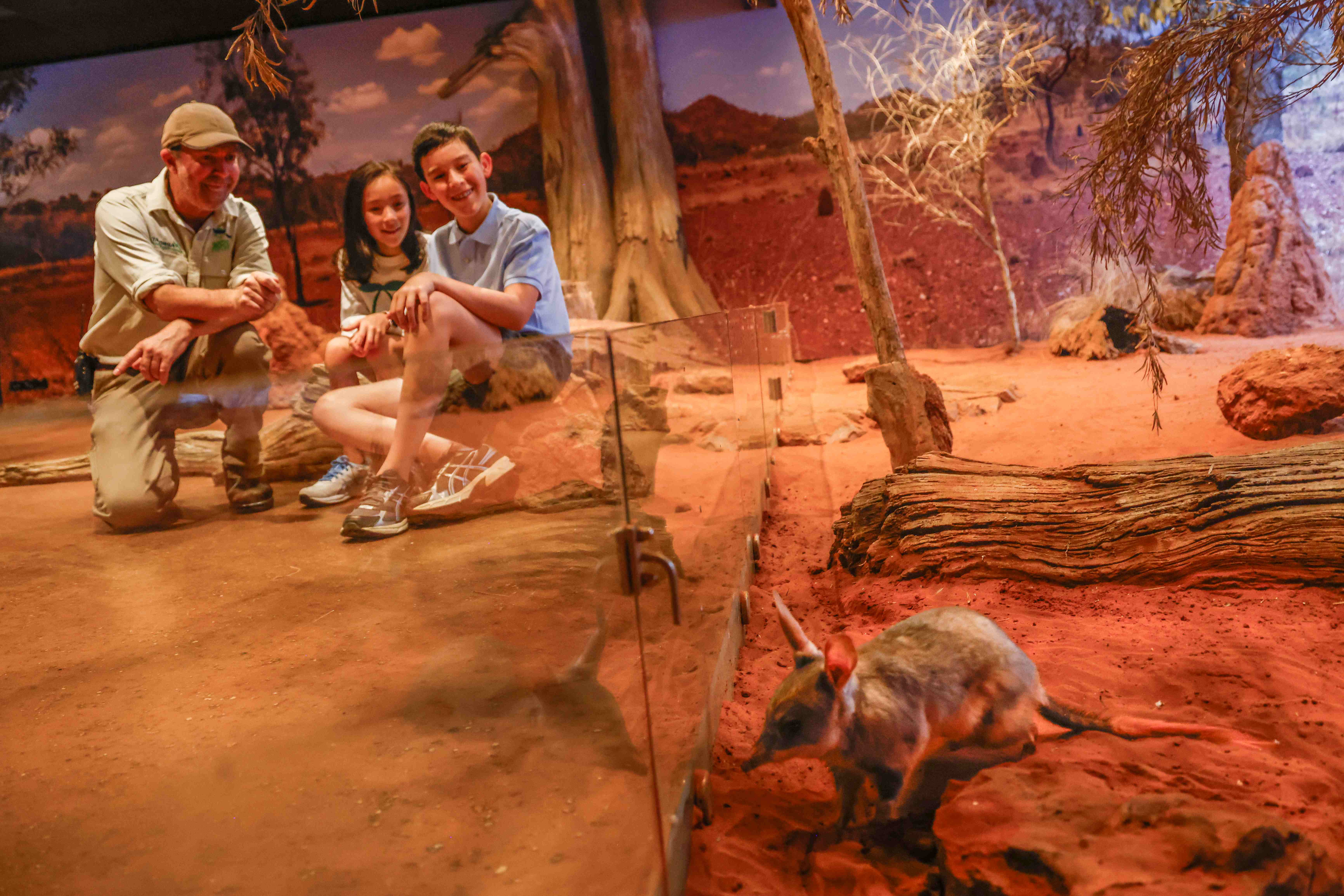 Children sitting on rock listening to teacher guide while overlooking bilby in desert-themed immersive environment.
