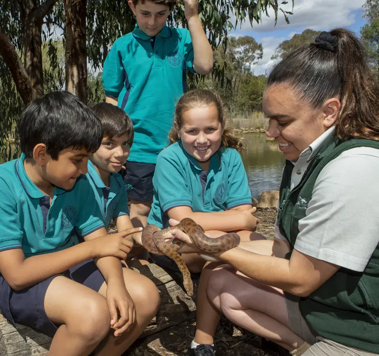 Studens learning about snake with Taronga educator during workshop at Taronga Western Plains Zoo in Dubbo