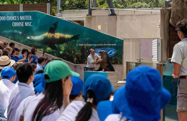 “School students attending an outdoor education presentationn with a Seals and conservation signage.”