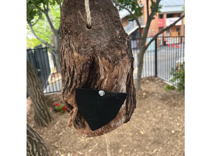 Hanging log enrichment device designed for dingoes as part of a STEM project.