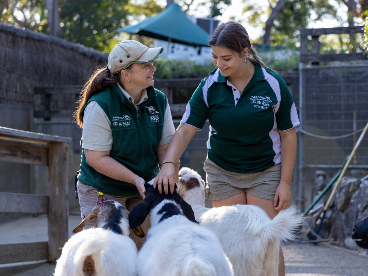 Keeper teaching certificate course student about animal care at Taronga Training Institute