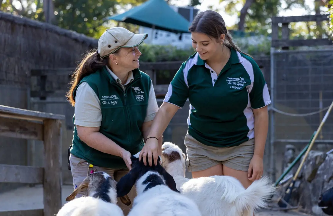 Keeper teaching certificate course student about animal care at Taronga Training Institute