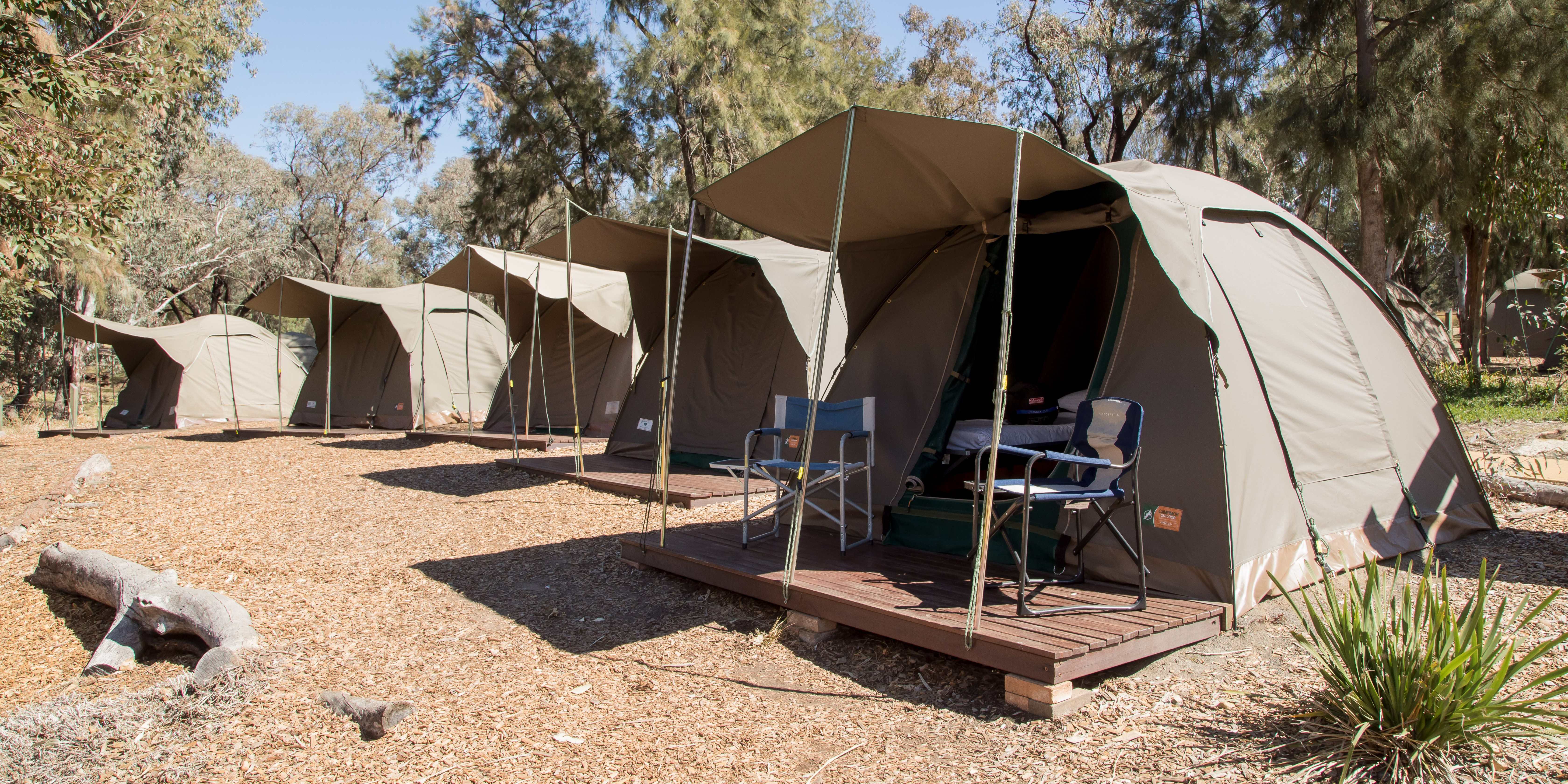 Safari‑style tents at Billabong Camp for an overnight education program.