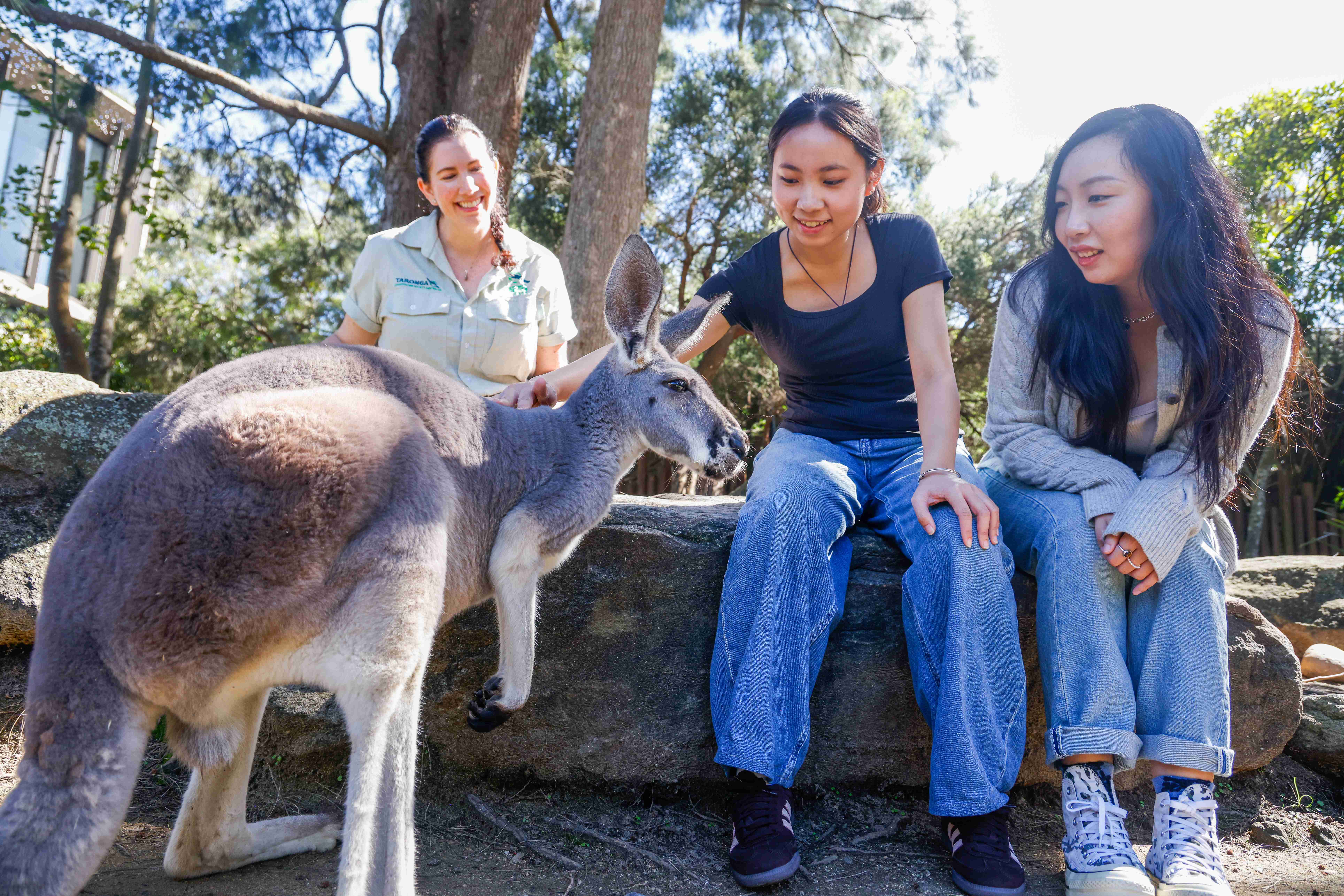 Students participating in a wildlife education workshop while observing a kangaroo. 