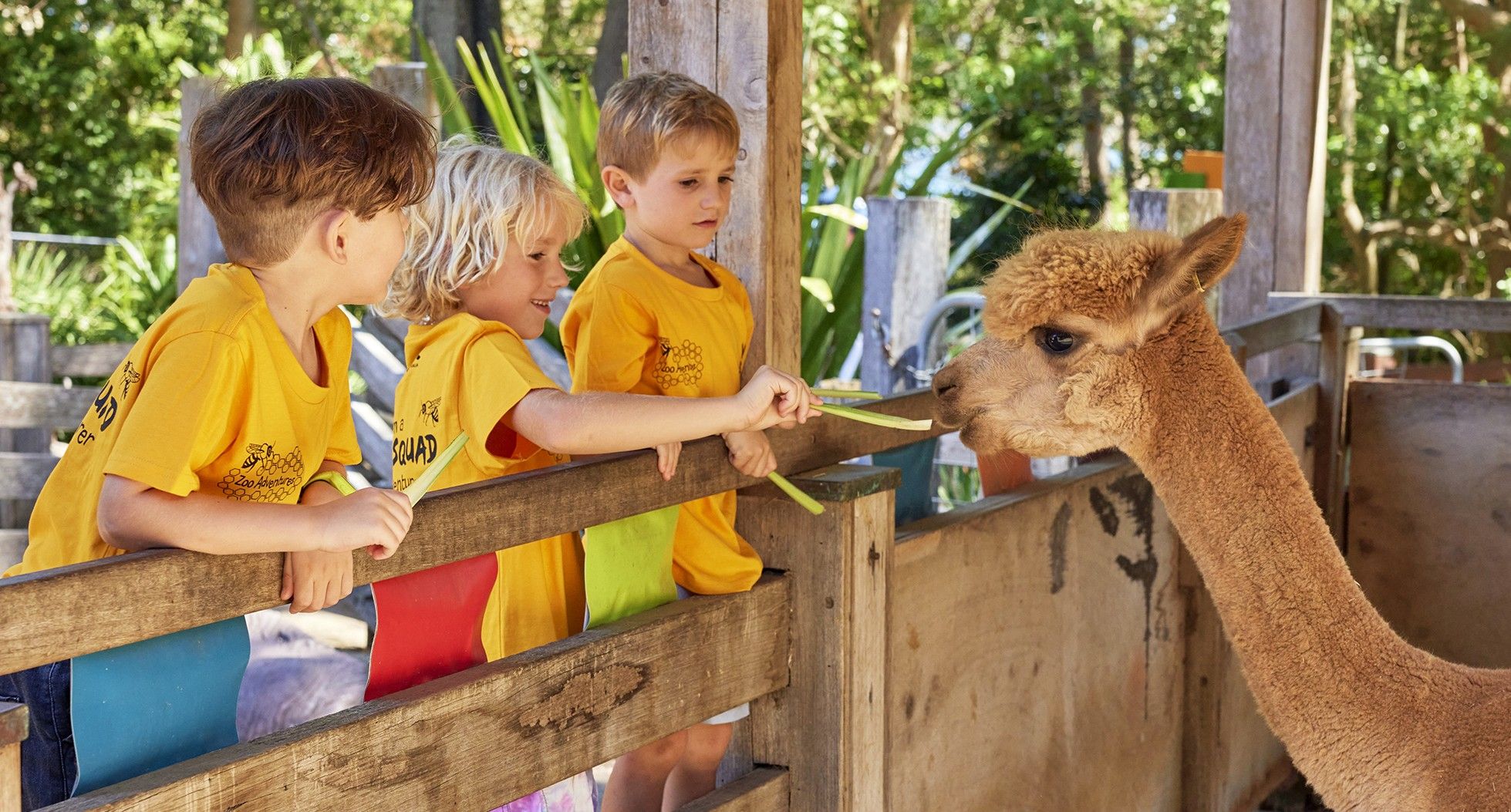 Children feeding an alpaca during a Zoo Adventures holiday program.