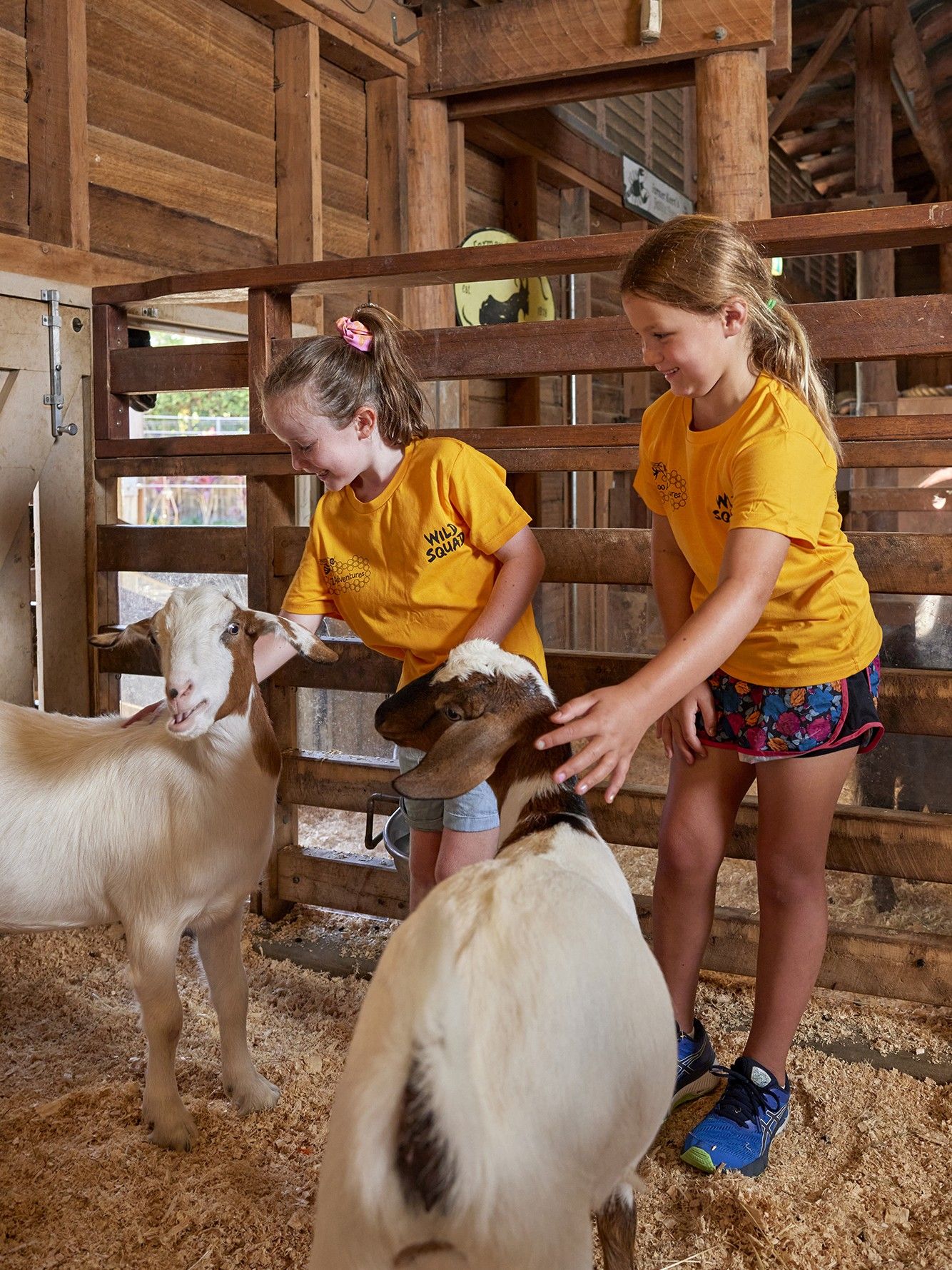 Children participating in a Zoo Adventures holiday program while interacting with goats.