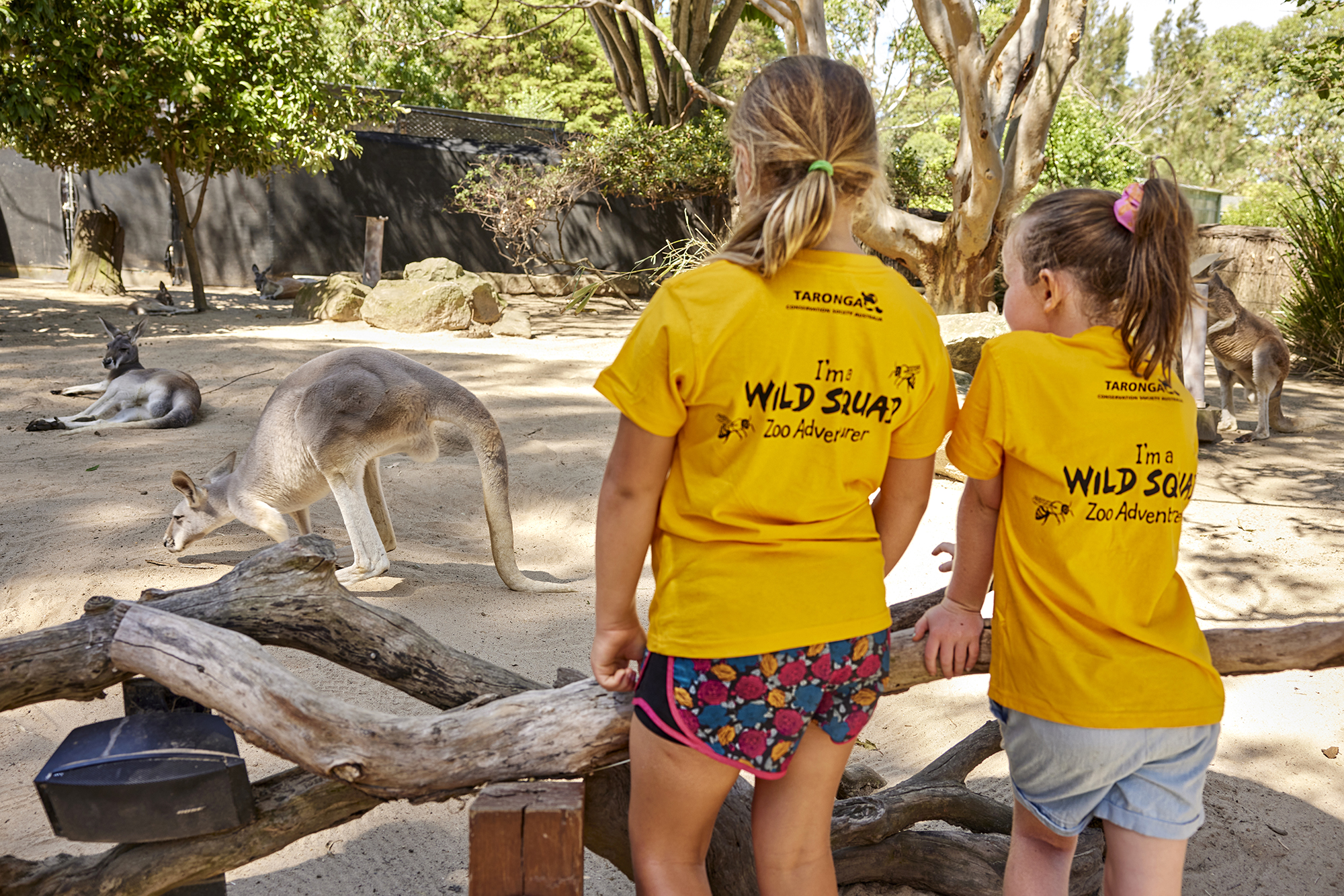 Children participating in a Zoo Adventures holiday program while observing kangaroos.