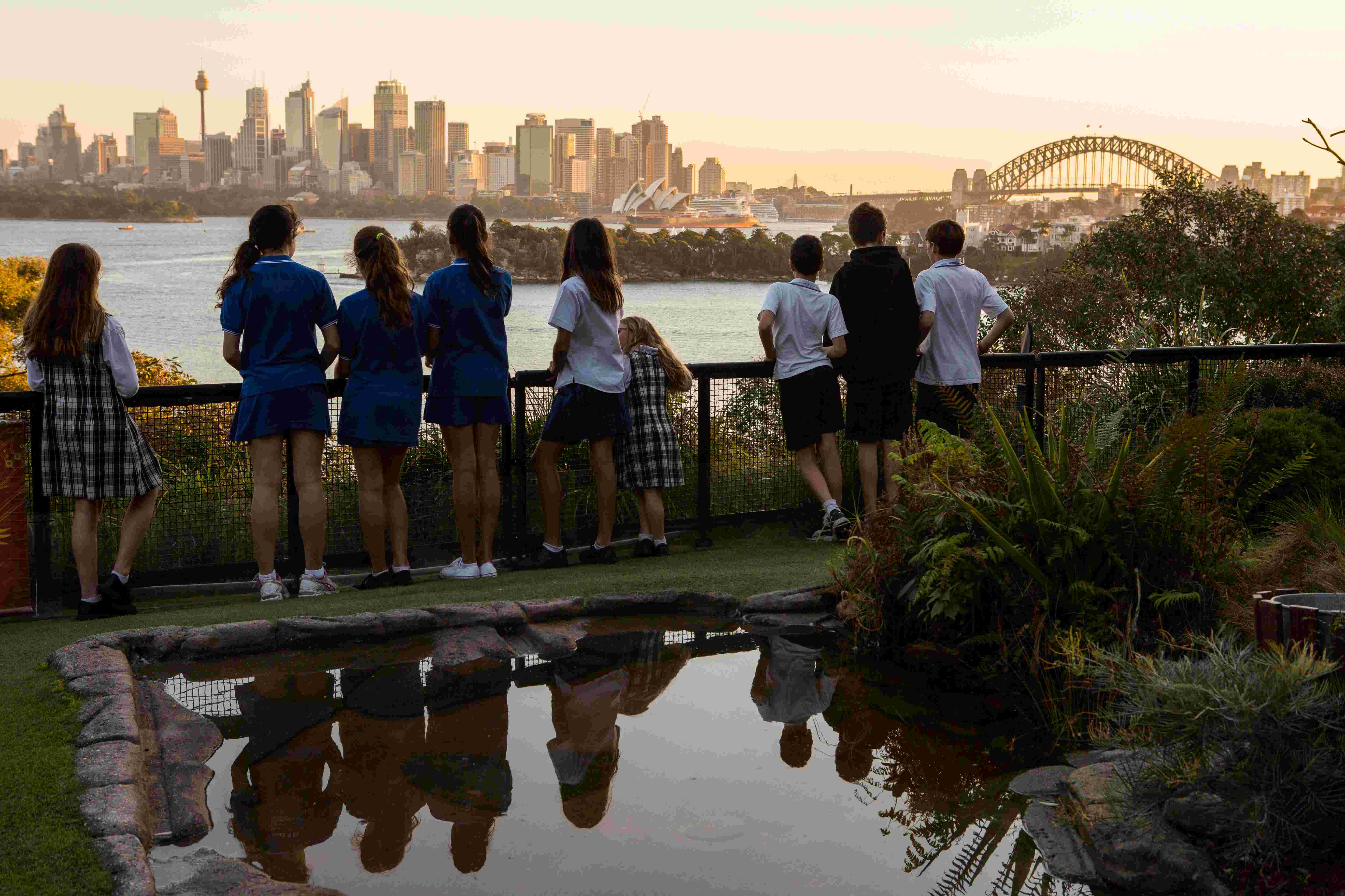 Students viewing Sydney Harbour and the Harbour Bridge during a Zoosnooz overnight education program.