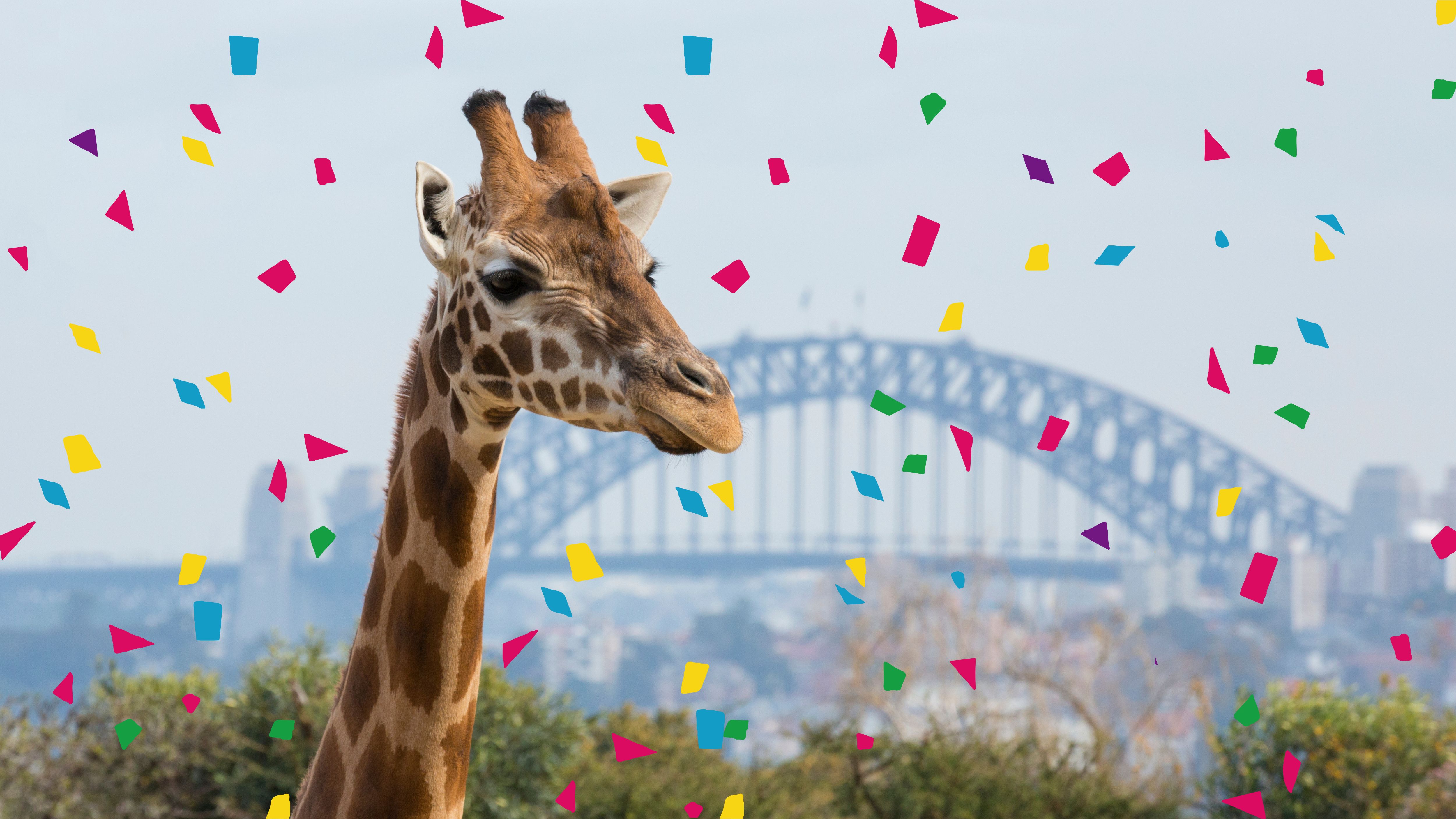 Giraffe with colourful confetti and Sydney Harbour Bridge in the background.